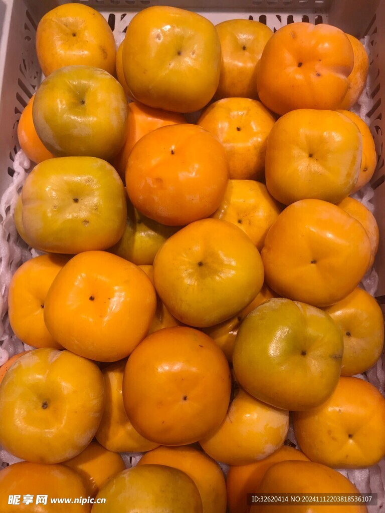 脆柿子