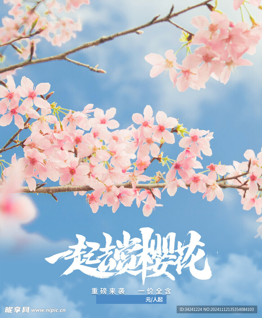 出游踏青海报展板素材