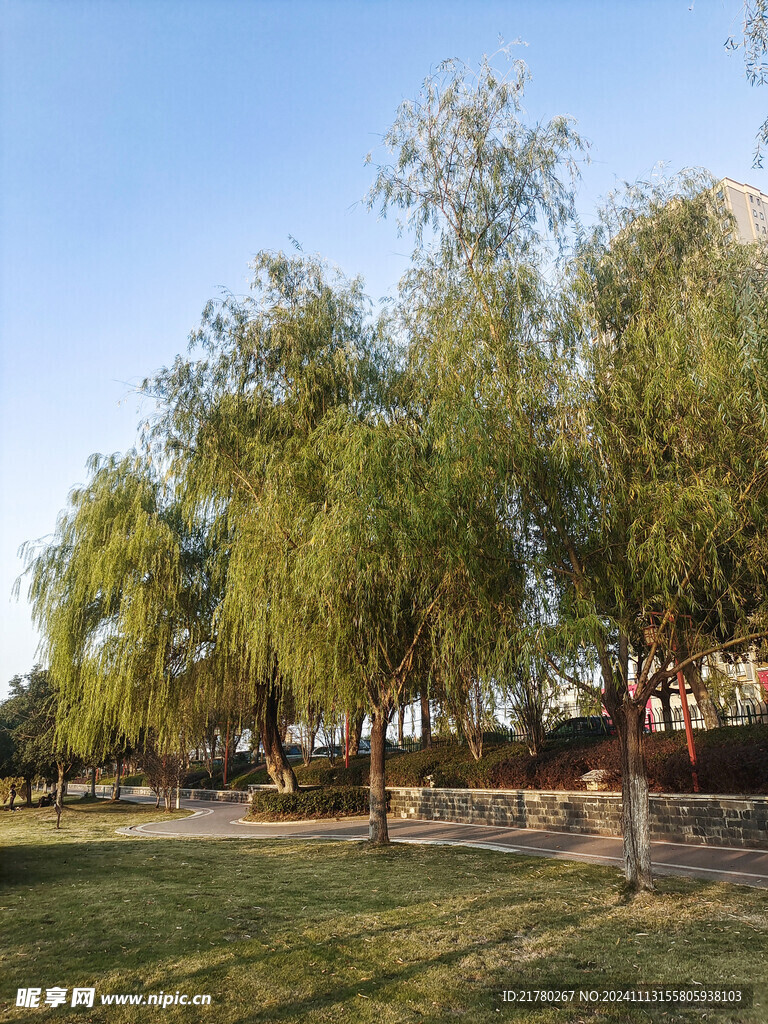 公园美景
