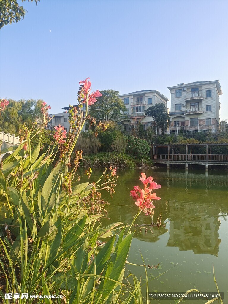 河畔风景摄影