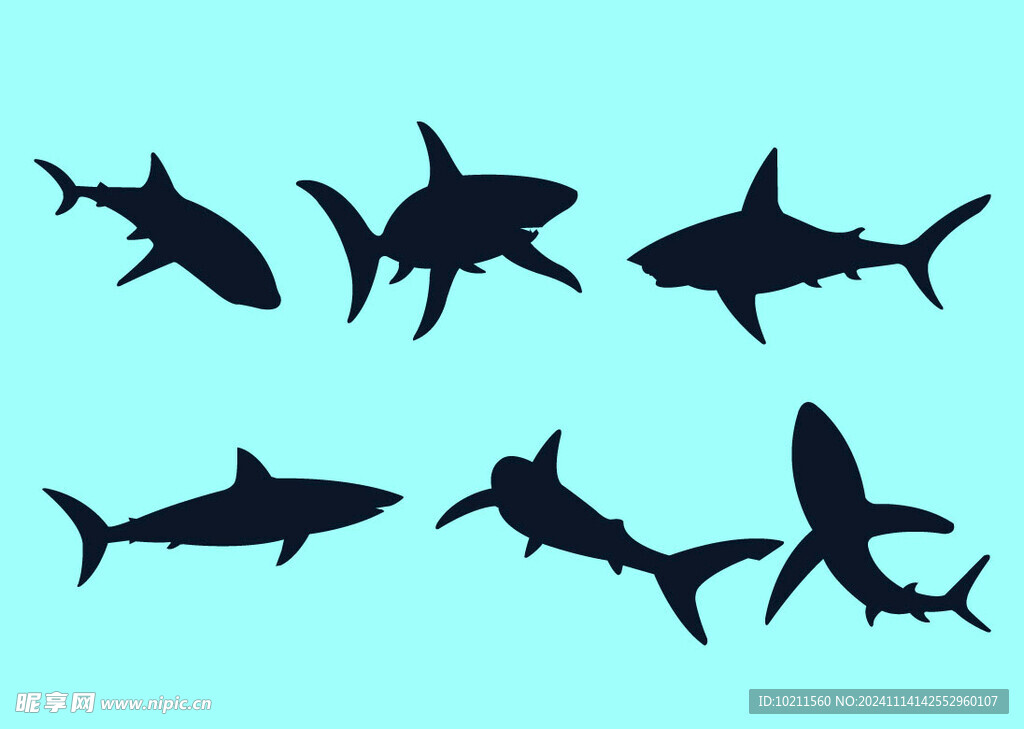 多种形态鲨鱼剪影图片