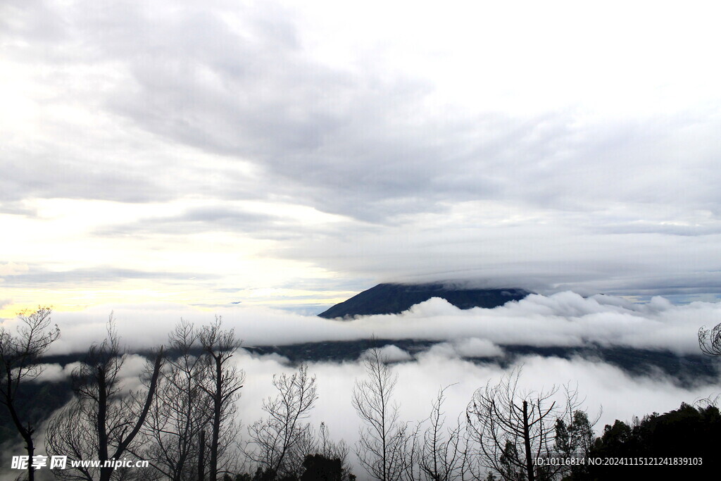 高山云海