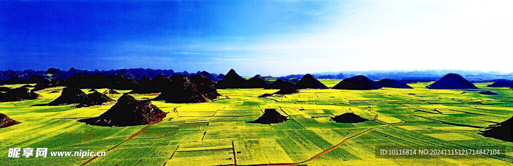 方形田块