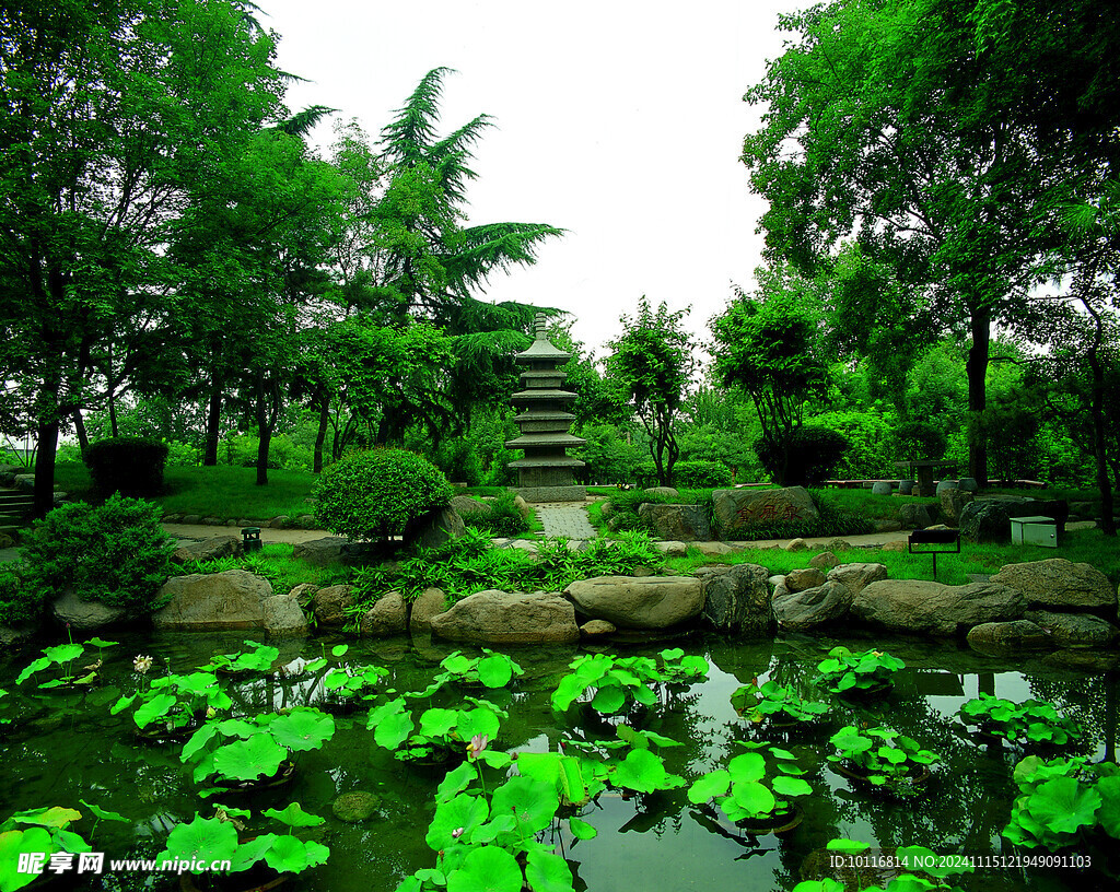 公园风景