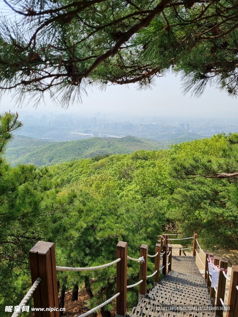 景区木栈道