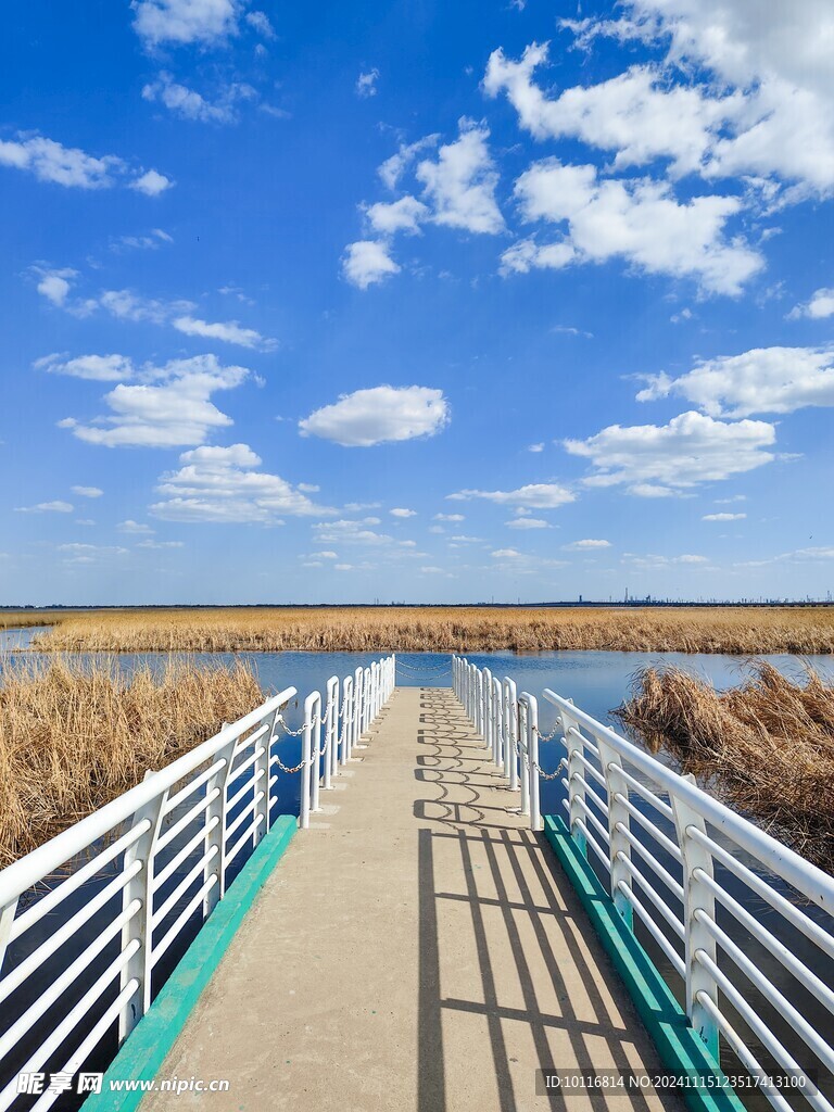 蓝天白云湿地公园