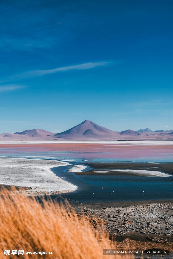海滩