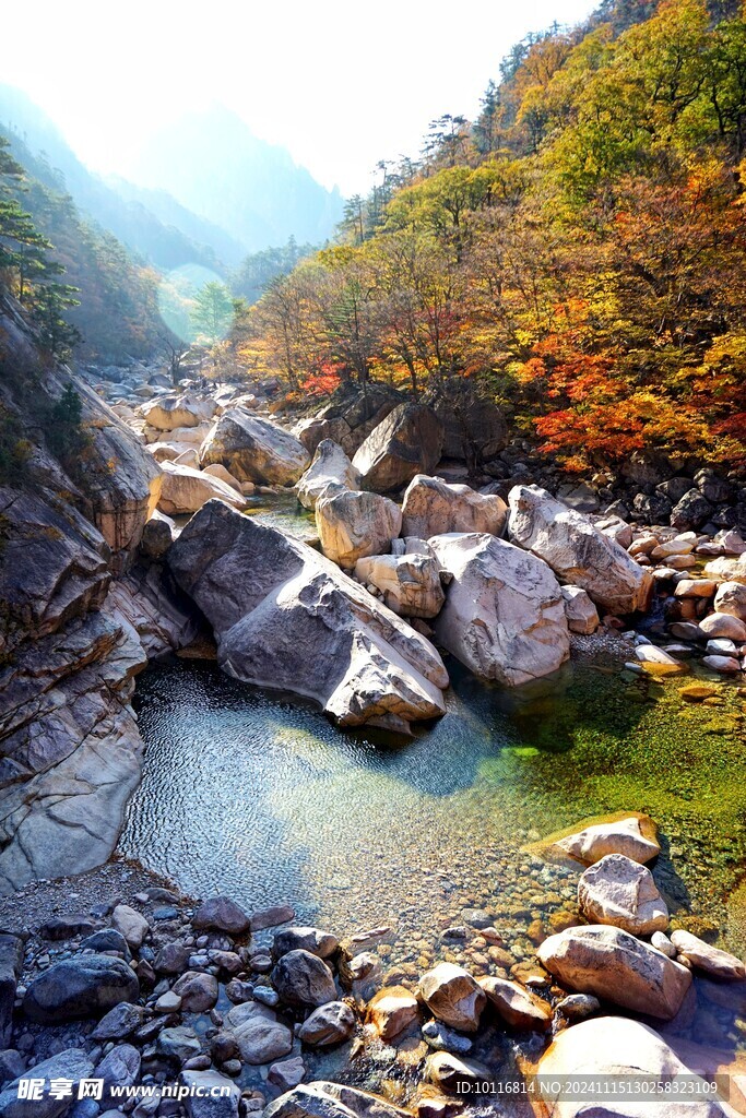 秋天山谷风光