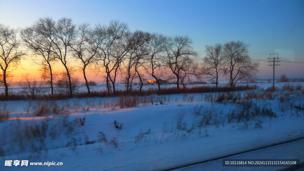 雪地