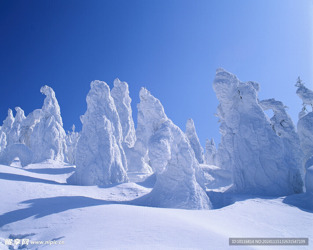雪景
