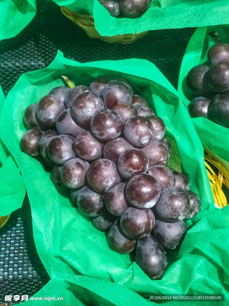 葡萄