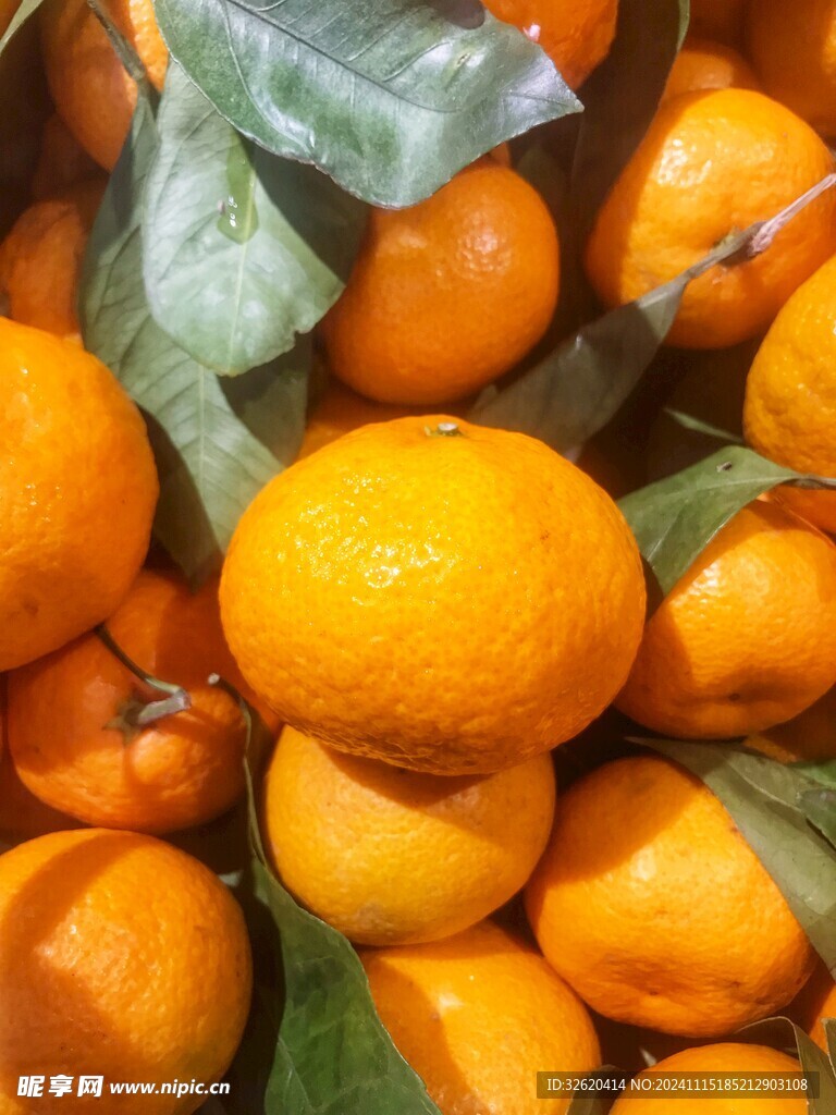 橘子