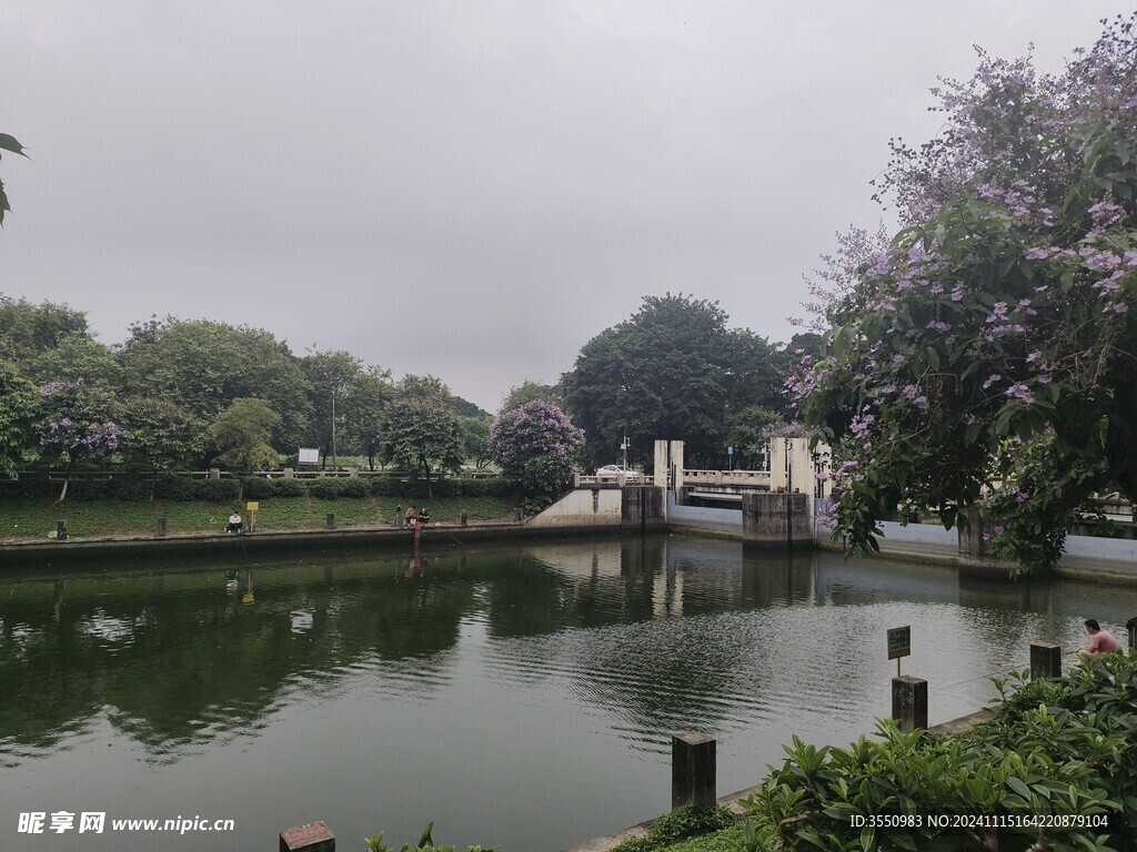 河边 钓鱼 风景 绿树