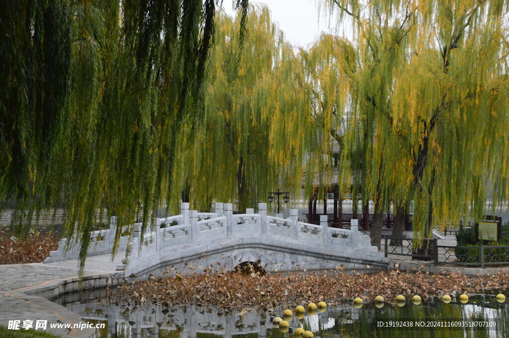 公园风景  