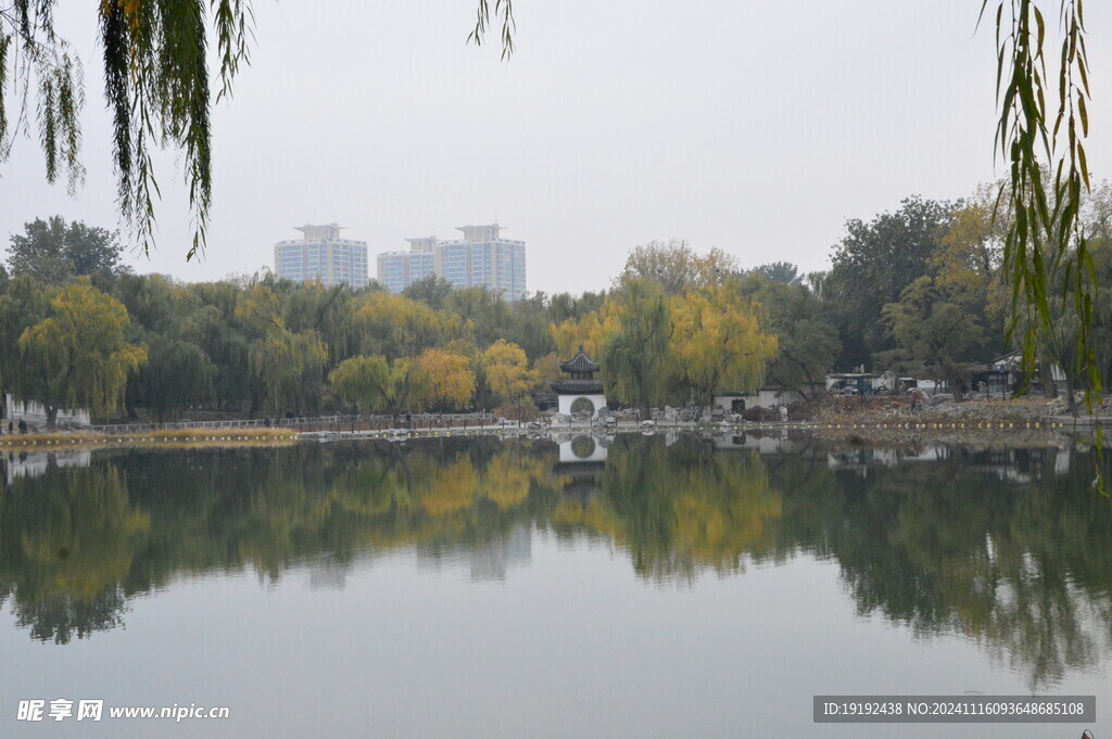 公园风景  