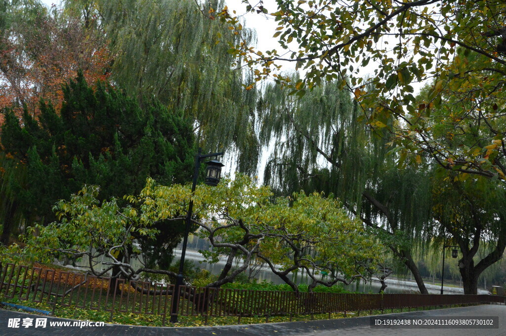 公园风景 