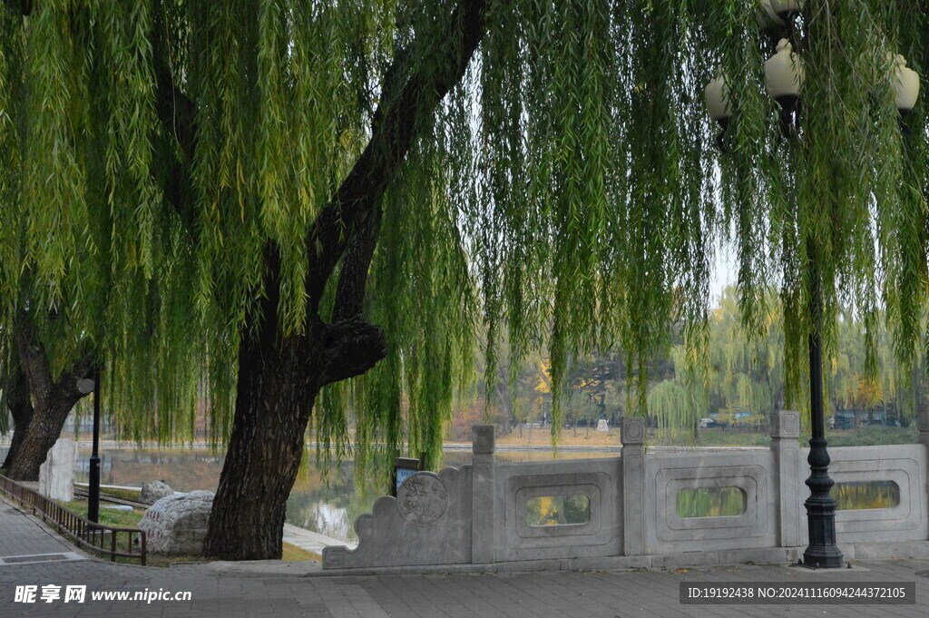 公园风景  
