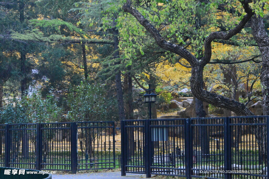 公园风景  