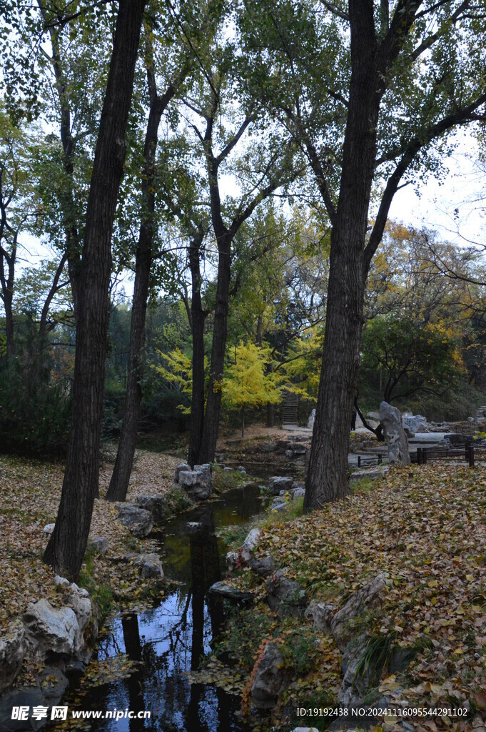 公园风景  