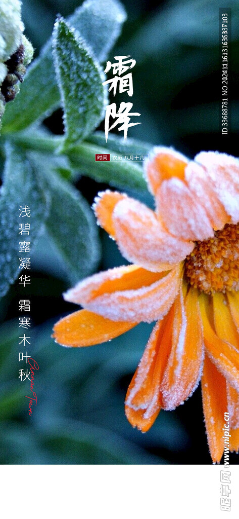 小雪地产海报展架画面