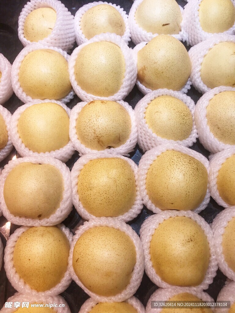 雪梨