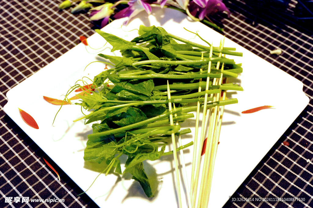 南瓜苗