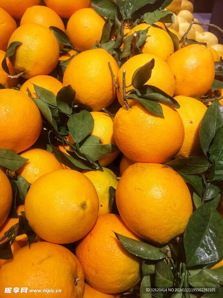 脐橙
