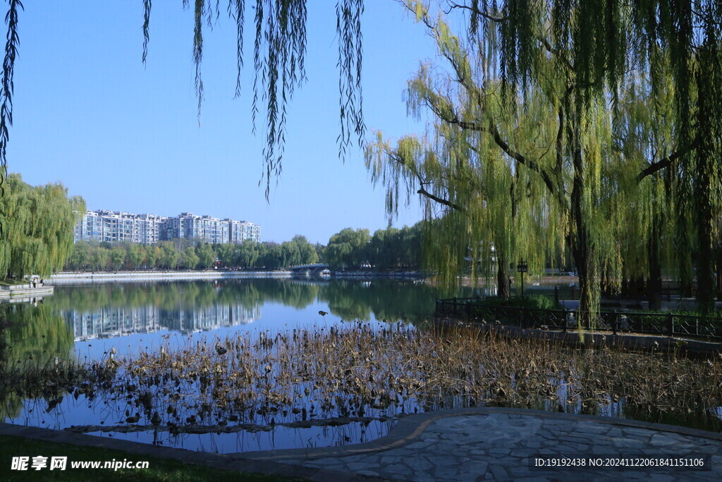 公园风景  