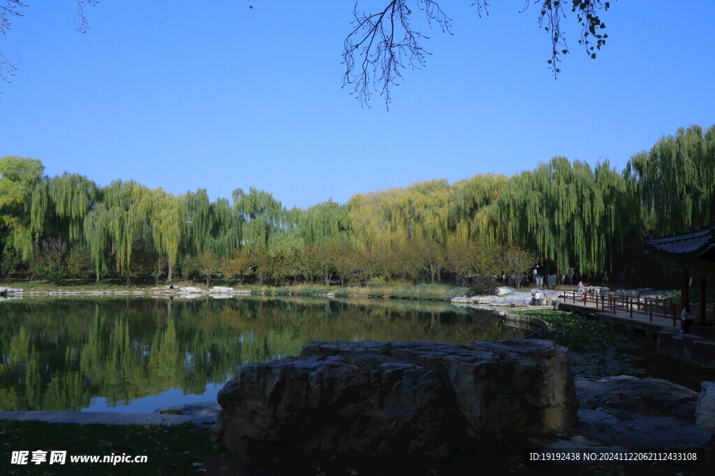 公园风景 
