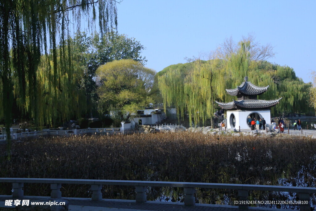 公园风景  