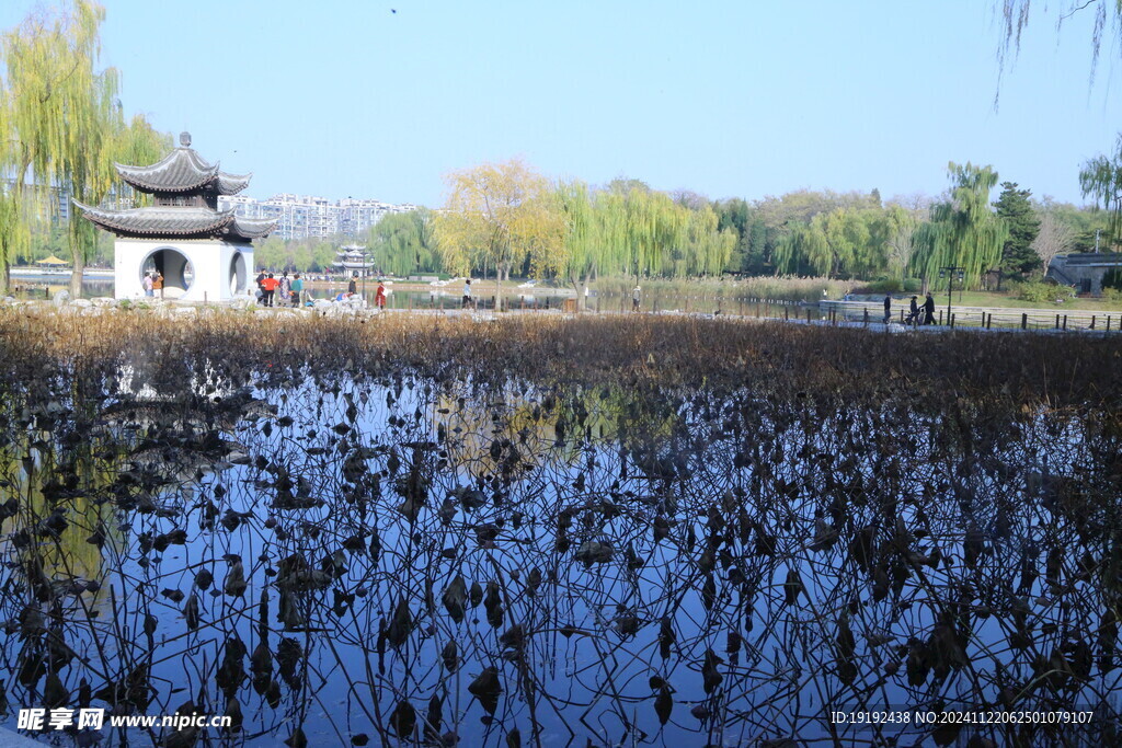 公园风景 