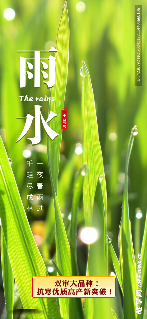 雨水
