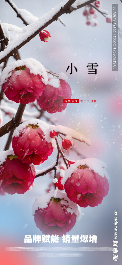 小雪