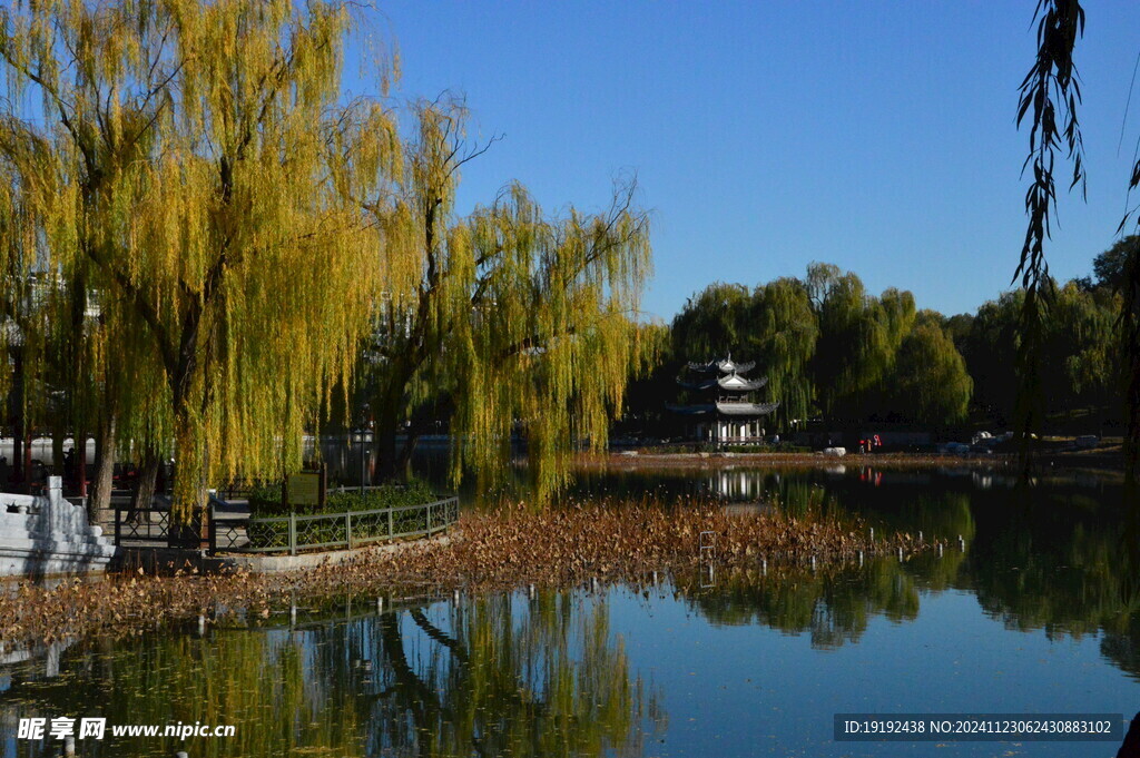 公园风景  