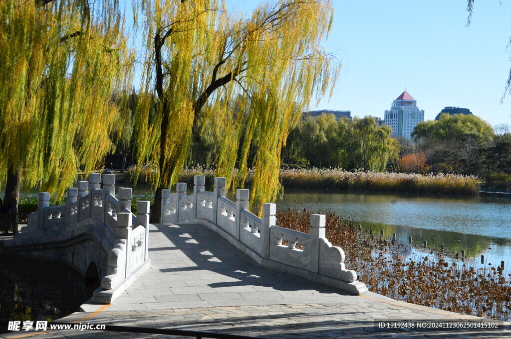 公园风景  