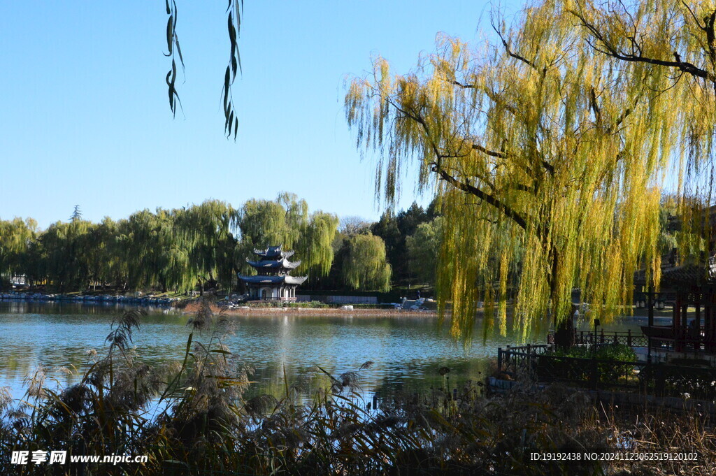公园风景  