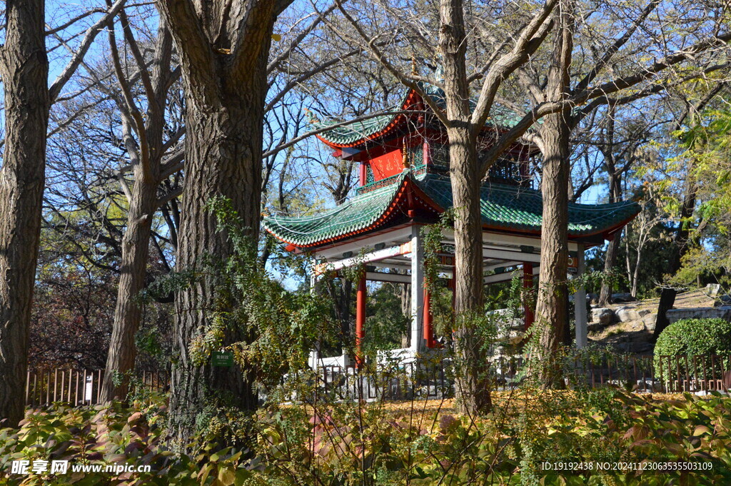 公园风景 