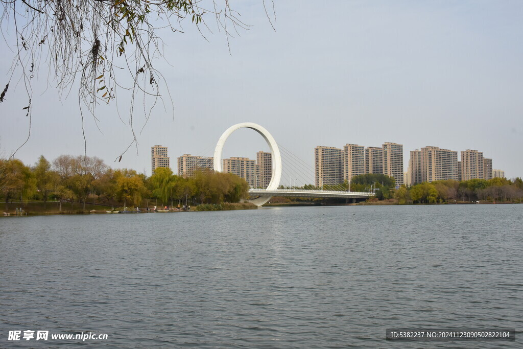 蝶湖公园