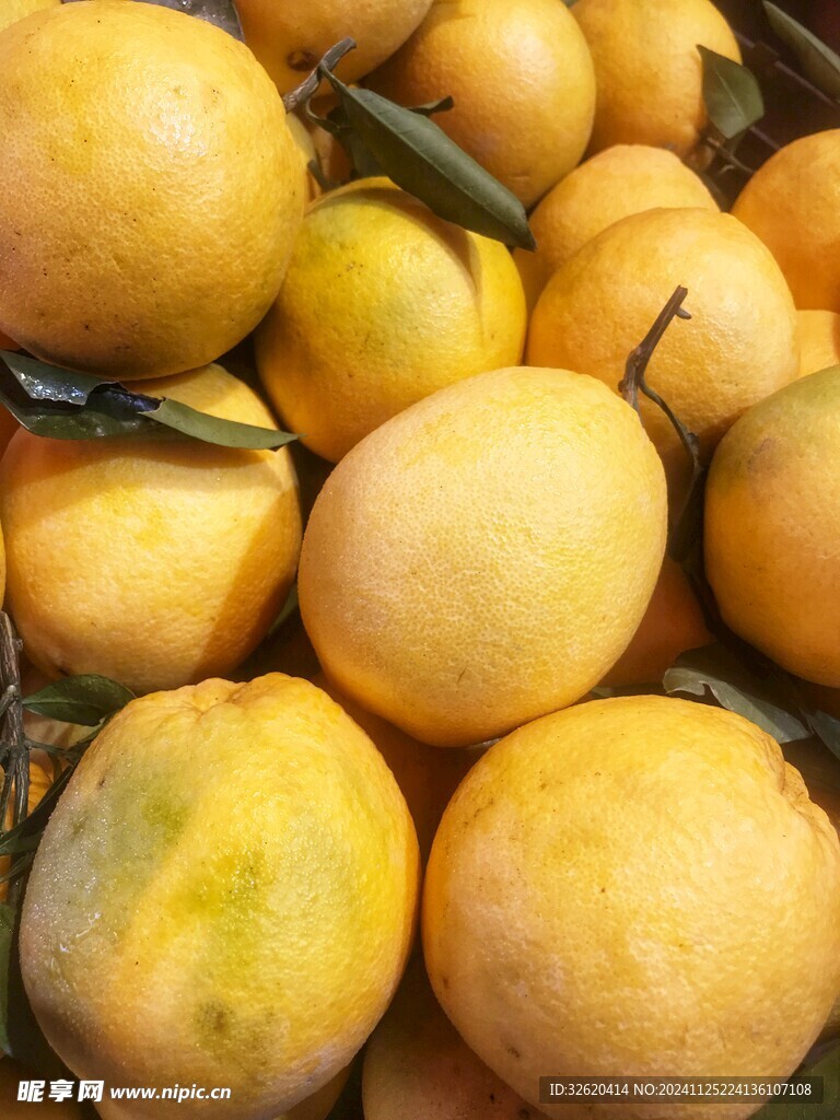 脐橙