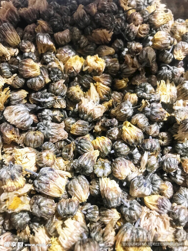 干菊花