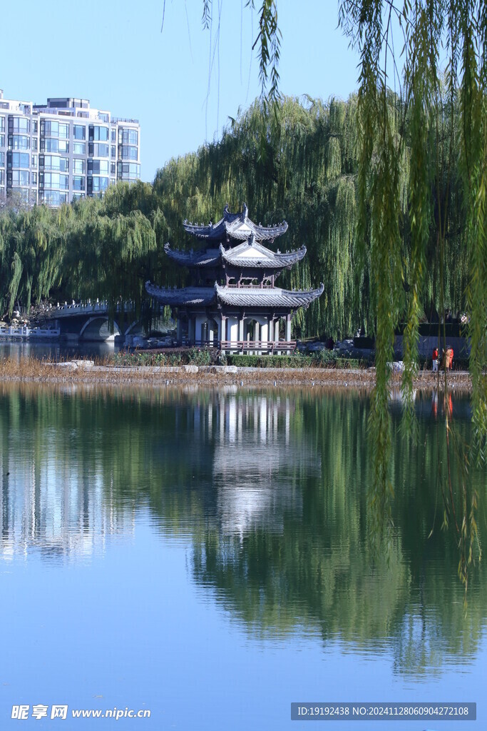 公园风景 