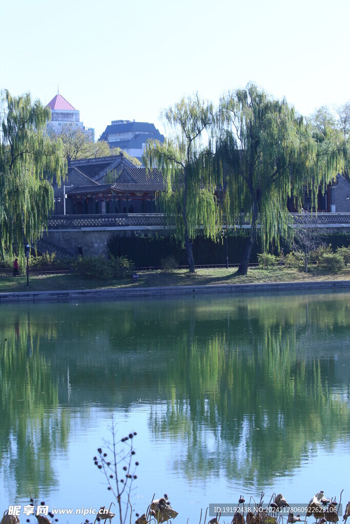 公园风景  