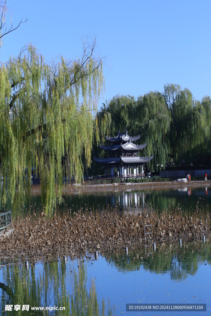 公园风景  