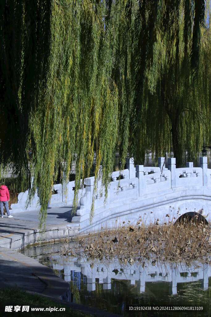 公园风景  