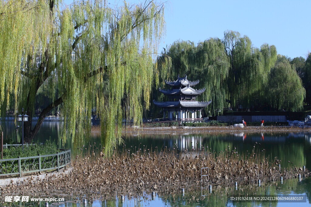 公园风景 