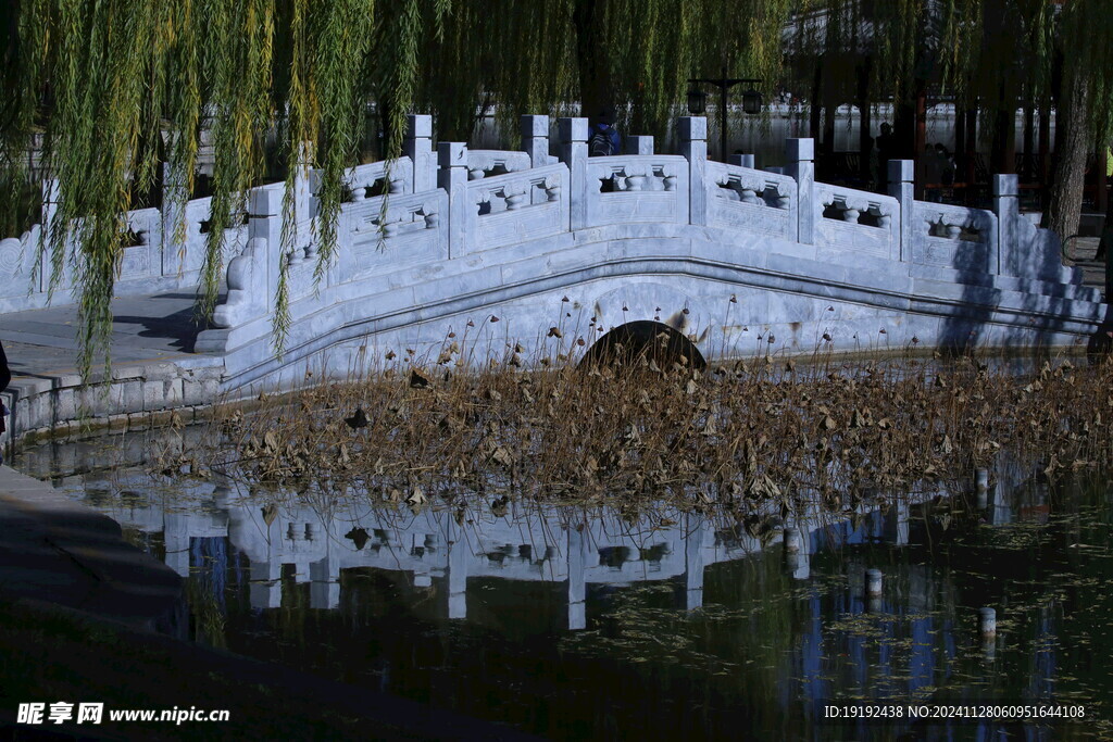 公园风景  