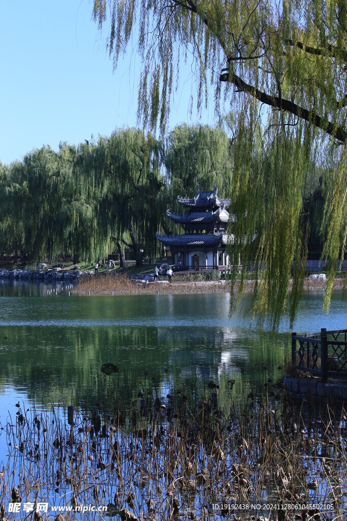 公园风景  