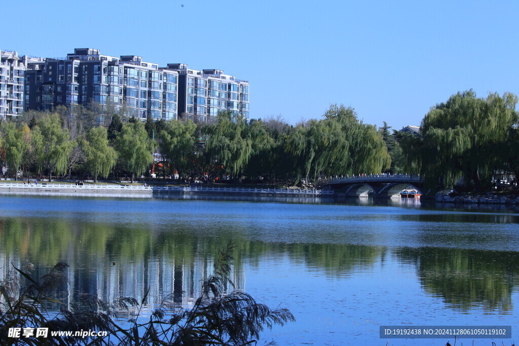 公园风景  
