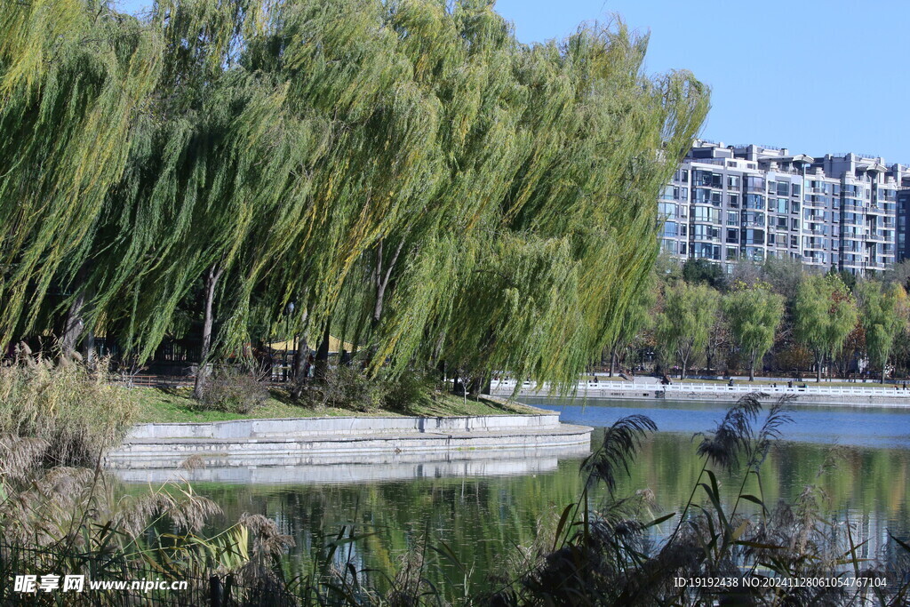 公园风景 
