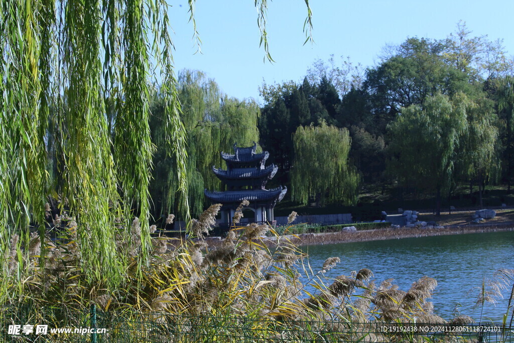 公园风景  